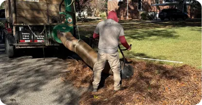 Leaf Removal