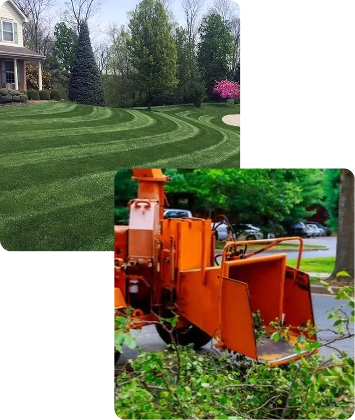 About Greener Grounds Lawn & Tree