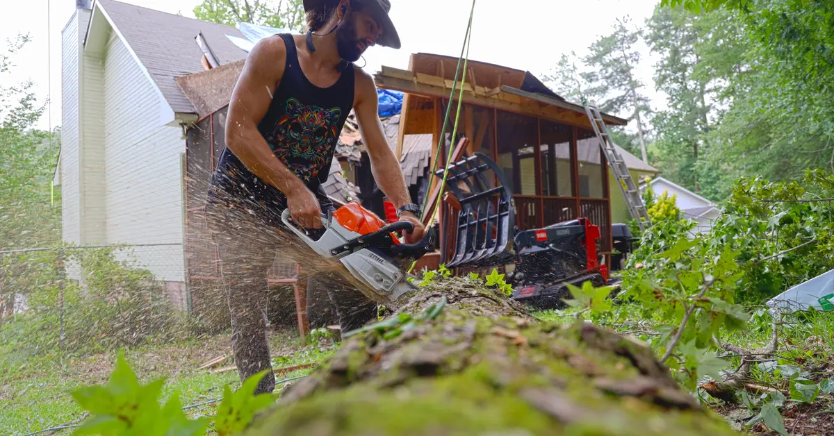 Tree removal work in Birmingham, AL