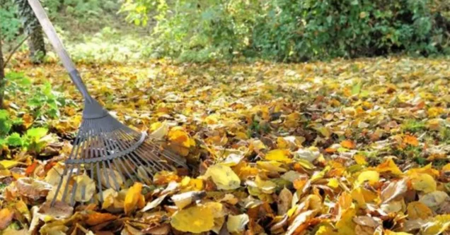 Spring Lawn Cleanup in Jefferson County, AL: What Irondale and Homewood Homeowners Should Do First