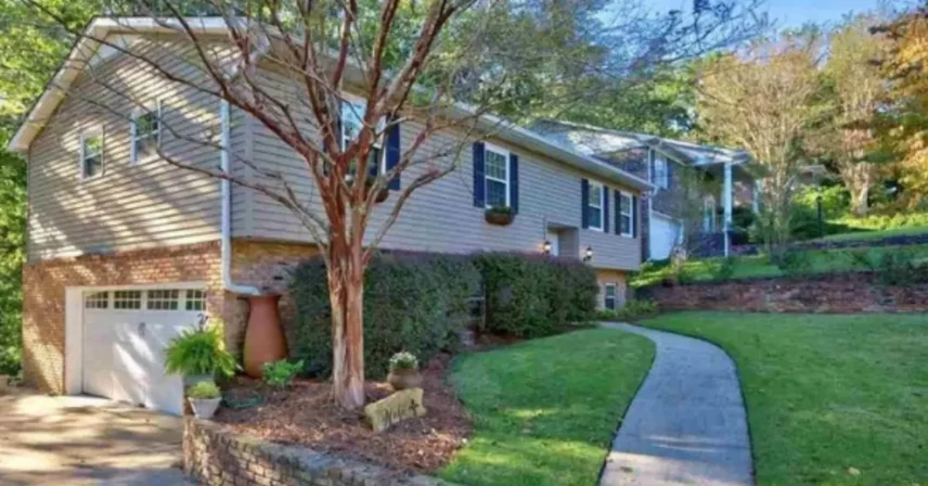 Mature tree with full green canopy leaning toward a home's roofline