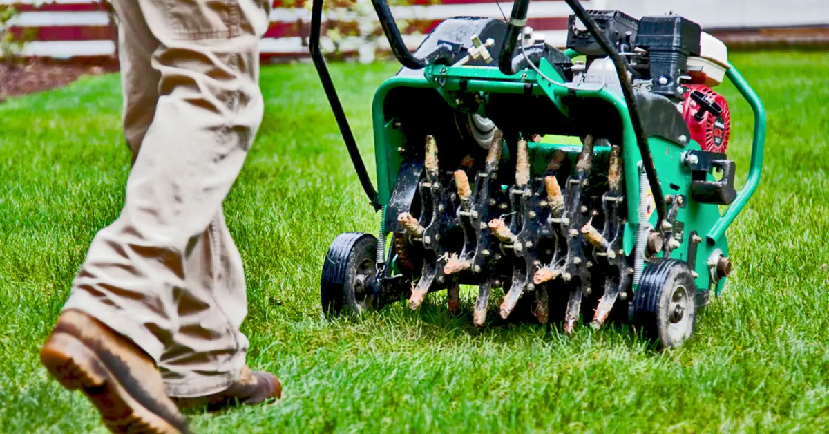 Lawn Aeration Services in Birmingham, AL