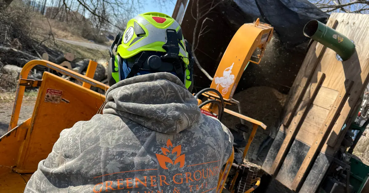 Lot clearing and site preparation services in Birmingham AL