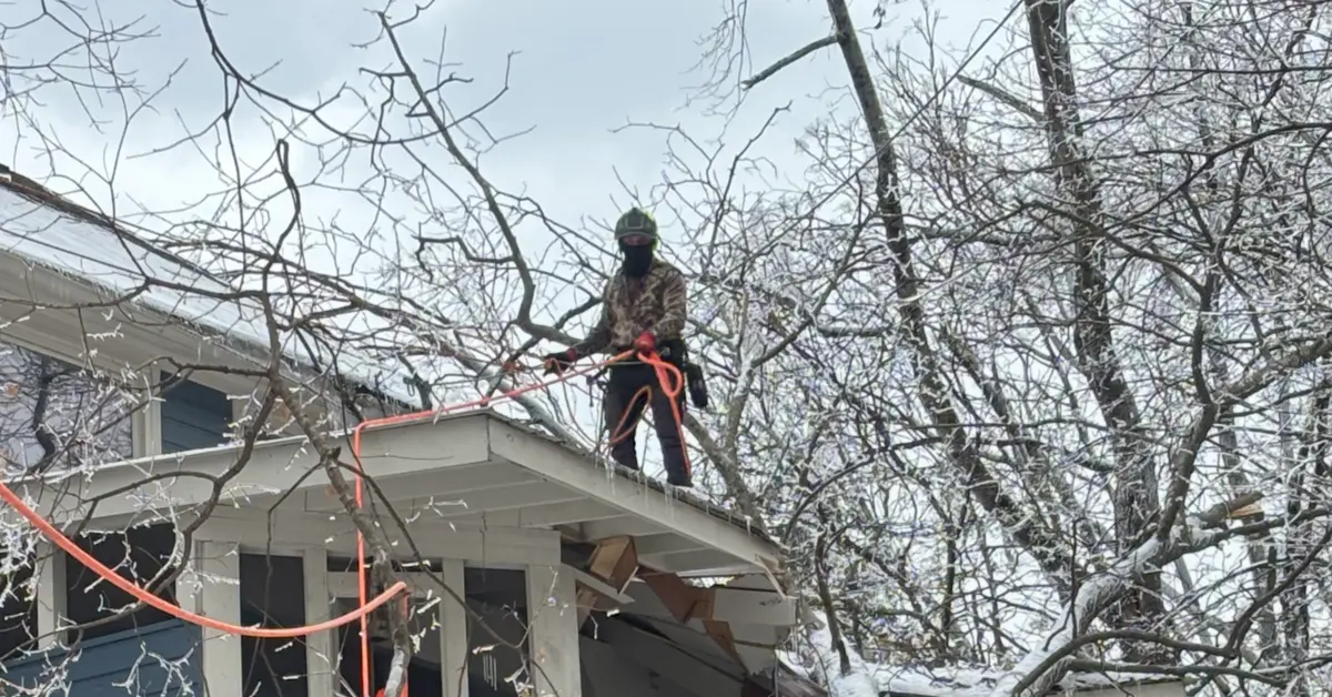 24/7 Emergency Tree Service in Birmingham, AL