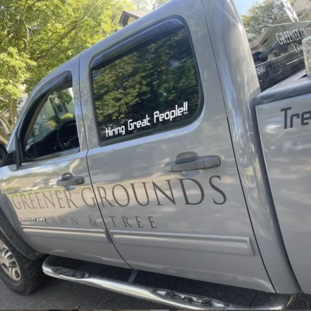 Don’t Get Fined: What You Need to Know Before Removing a Tree in Birmingham, AL