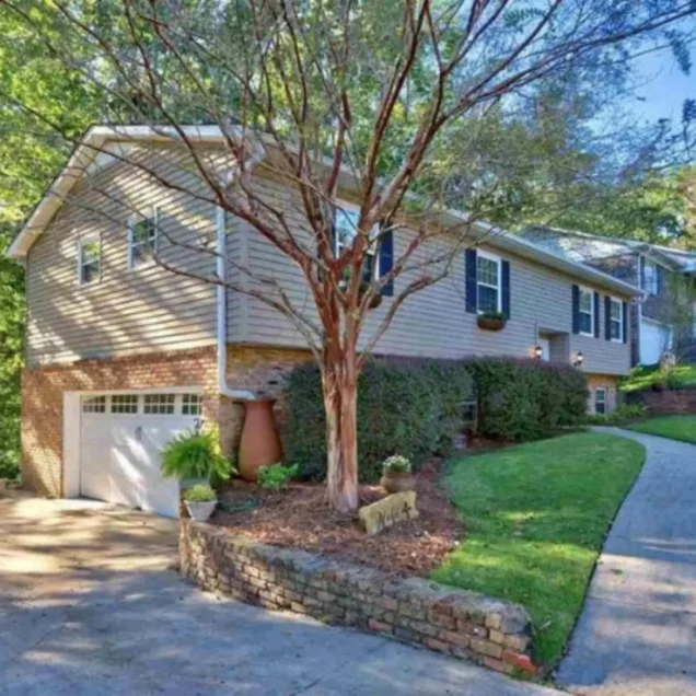 6 Summer Tree Maintenance Tips for Birmingham Yards