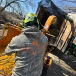 Emergency tree removal after storm damage in Birmingham, AL