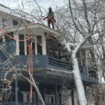 Large leaning tree near a Birmingham home before storm season
