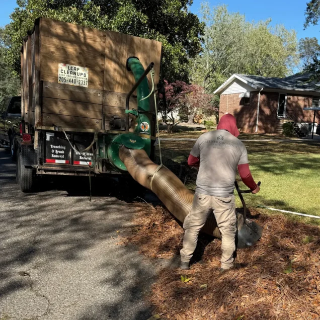 7 Reasons to Use Hardwood Mulch
