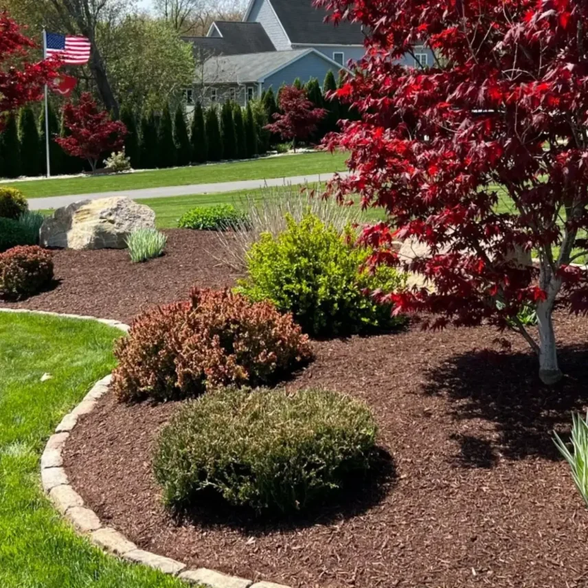 Birmingham front yard with fresh mulch, trimmed shrubs, and clean edging