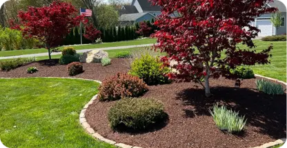 Lawn Mowing