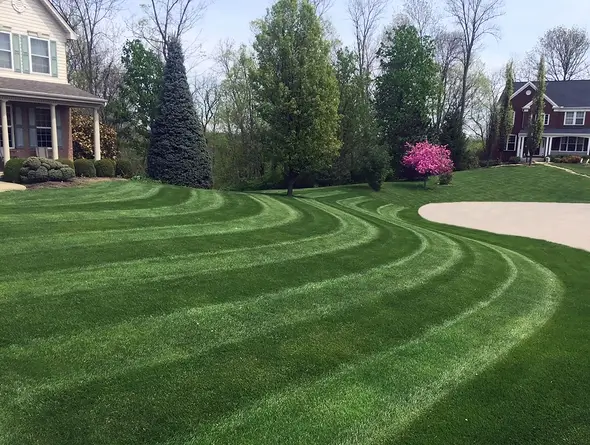 Flexible payment options for tree and lawn care services