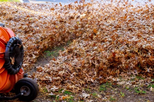 Birmingham Leaf Removal Service