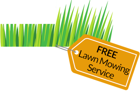 Free Lawn Mowing Service