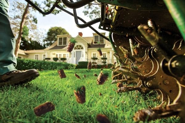 Lawn being core aerated with a machine