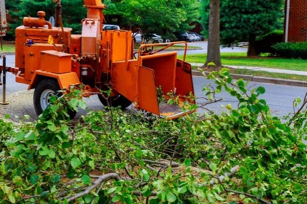 Tree Pruning In Progress